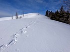 Making our way up the ridge.