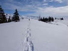 Mellow terrain on the ridge.