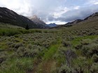 Early in the hike along Dry Creek.