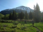 Heading up the trail, just after the fork.