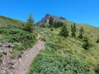 Grassy slopes on the way up Coffin Mountain.