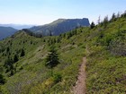 View of Coffin Mountain from the trail leading down from Bachelor Mountain.