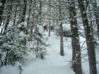 Bushwhacking our way up, above Willow Lake.