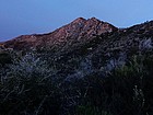 Early view of Cone Peak from the southeast.