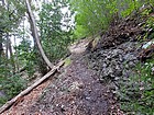 The Gamboa Trail near Trail Spring Camp.