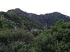 Cone Peak and Twin Peak from the North Coast Ridge Trail.