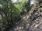 On the North Coast Ridge Trail, just northeast of Cone Peak.