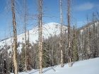 Looking back on Copper Mountain from the south.