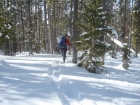 Sean heading back down into the trees.