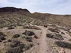 The trail follows the ridge after leaving the wash.