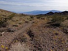 Hiking down the wash trail amidst the