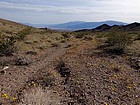 Hiking down the wash trail amidst the 