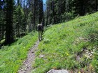 Early in the hike up Lick Creek.