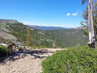 Ruby looking back on the saddle above Marble Creek.