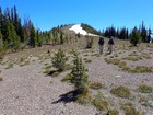 Heading up Cougar Peak.