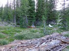 Our camp for two nights at