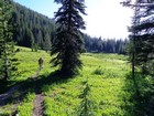 Pretty meadow near the Catherine Lake trail junction.