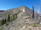 Looking up Peak 8979'.