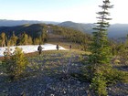 Morning descent from Cougar Peak.