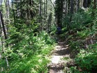 Heading back to the trailhead. The trail is steep but shady.