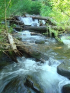 Looking up Granite Creek.