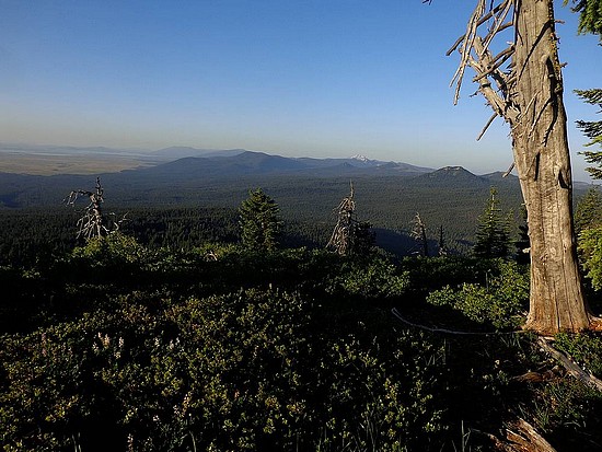 Crater Peak summit view.