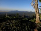 View southwest from the summit of Crater Peak.