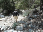 Passing some Yucca plants on the way back to the trailhead.