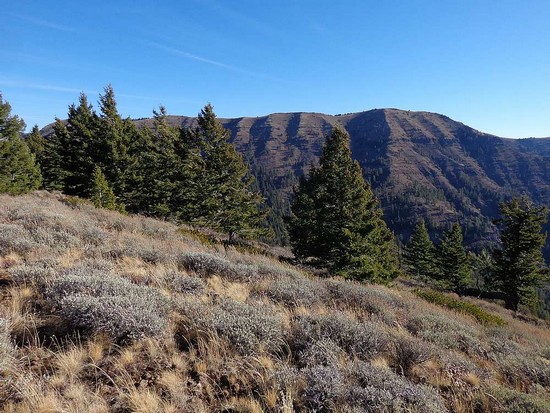 Cuddy Mountian from West Cuddy Mountain