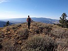 Nearing the summit of West Cuddy Mountain.