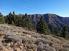 Cuddy Mountain from West Cuddy Mountain.