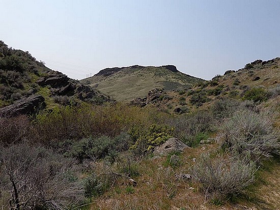 Currant Peak from Daniels Creek