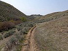 Daniels Creek Trail with Currant Peak in the distance.