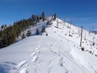 Final stretch to the summit of Curtis Peak.