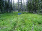 More meadows along the trail.