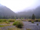 Here's the view looking back up into the fog from the trailhead after we got back.