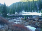 Large beaver dam near the start of the hike.