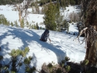 Michael stopping to cool off on the way up the ridge.