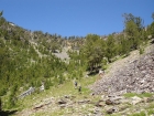 Here are Ken and JJ making their way towards the 9800' saddle above Middle Fork Lake en route to Yellow Lake.