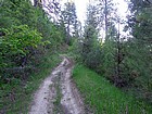 Early trail view.