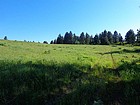 Pretty open meadow on the way up.