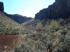 Aspen and sagebrush, down in the tules.