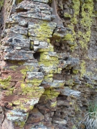 Stacked rocks seem to make up the base of this cliff.