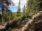 View up the trail.