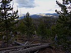 Bushwhacking toward the summit.