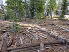 Old log foundation and rusty bedframe.