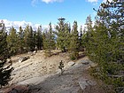 Lookout platform from the highpoint.