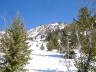 Looking back on Easley Peak with the moon directly behind. The other guys are just visible through the trees, at the end of their glissade.