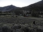 A couple deer by the trail early in the hike.