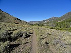 Finally down to the trail by the East Fork Salmon River.